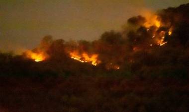 TUCUMÁN: INCENDIO FORESTAL EN EL CERRO SAN JAVIER ¿CUÁL ES LA SITUACIÓNES ACTUAL?