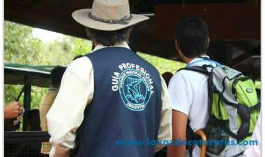 DIPUTADOS: LEY DE SOSTENIMIENTO Y REACTIVACION PRODUCTIVA DE LAS ORGANIZACIONES CULTURALES