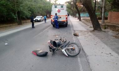 JOVEN SALTEÑO PERDIÓ LA VIDA TRAS IMPACTAR CONTRA UN ÁRBOL