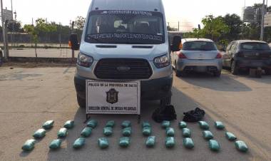 EN SALTA INCAUTARON 30 KILOS DE HOJAS DE COCA EN UN VEHÍCULO MUNICIPAL