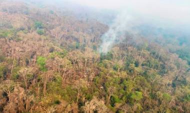 INCENDIOS FORESTALES: PERSISTEN FOCOS ACTIVOS EN SALTA, JUJUY Y LA RIOJA