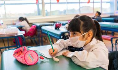 ESTE MIÉRCOLES EL CONSEJO FEDERAL DE EDUCACIÓN TRATARÁ LA REORGANIZACIÓN DE LOS CICLOS LECTIVOS DEL 2021