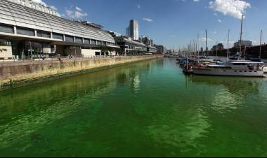 PUERTO MADERO AMANECIÓ DE VERDE