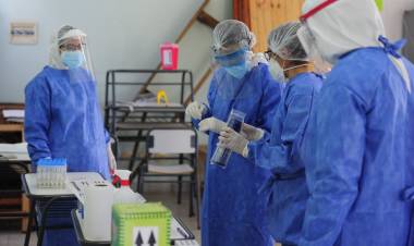 EN LA PROVINCIA DE SAN LUIS ESTE JUEVES SE REGISTRARON 283 CASOS DE CORONAVIRUS