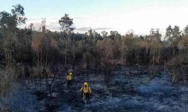 CONTINÚAN ACTIVOS INCENDIOS FORESTALES EN SEIS PROVINCIAS