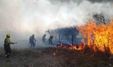 INCENDIOS FORESTALES: AÚN PERMANECEN ACTIVOS FOCOS EN JUJUY Y ENTRE RÍOS