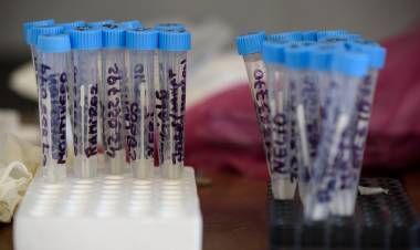 ESTE MARTES EN LA PROVINCIA DE SAN LUIS SE REGISTRARON 118 CASOS DE COVID-19