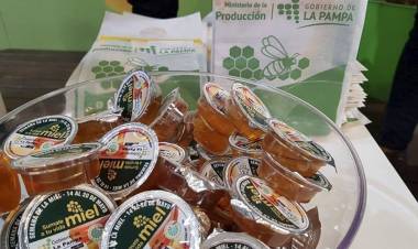 EN LA PAMPA LA PRODUCCIÓN DE MIEL GANA TERRENO Y YA EXPORTA A EEUU, EUROPA Y JAPÓN