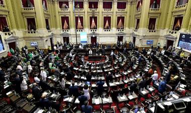 LA CÁMARA DE DIPUTADOS APROBÓ EL PROYECTO DE LOS 1.000 DÍAS Y PASÓ AL SENADO