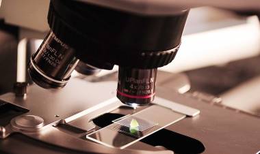 ESTUDIO PIONERO: CIENTÍFICOS ARGENTINOS DESCUBRIERON MICRO MOLÉCULAS DE ARN EN EL VIRUS SARS-COV-2