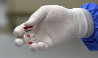 CORONAVIRUS: INFECTÓLOGOS ASEGURARON  QUE SI ANMAT APRUEBA LAS VACUNAS, SE PODRÁN APLICAR "SIN TEMORES"