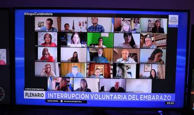 ESTE MARTES EL SENADO TRATARÁ EL PROYECTO DE LEY DE INTERRUPCIÓN LEGAL DEL EMBARAZO