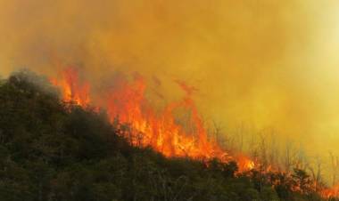 INCENDIOS FORESTALES: NEUQUÉN, LA PAMPA Y RÍO NEGRO SON LAS PROVINCIAS CON FOCOS ACTIVOS