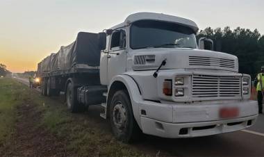 MISIONES: SECUESTRAN CASI SEIS TONELADAS DE MARIHUANA QUE TRASLADABA UN CAMIÓN POR RUTA 12