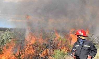 INCENDIOS FORESTALES: BUENOS AIRES, RÍO NEGRO Y CORRIENTES MANTIENEN FOCOS ACTIVOS