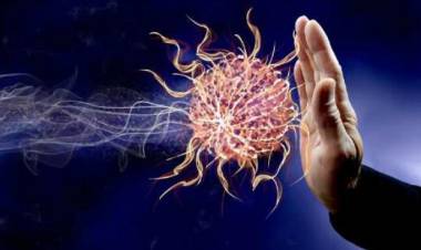 ¿CÓMO PODEMOS FORTALECER EL SISTEMA INMUNE A TRAVÉS DE LA ALIMENTACIÓN Y SUPLEMENTACIÓN?