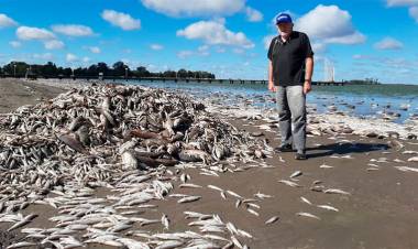 EN UNA LAGUNA DE JUNÍN APARECIERON MILES DE PECES MUERTOS