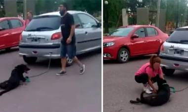 CONDENA EN MENDOZA A LA DOCENTE QUE ENCADENÓ A SU PERRO AL AUTO Y LO ARRASTRÓ 7 CUADRAS