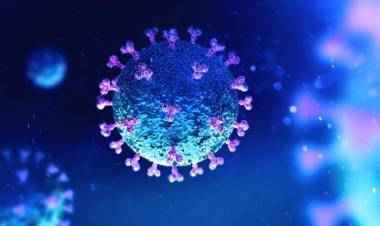 EE.UU.: DESCUBRIERON UNA FORMA DE NEUTRALIZAR EL CORONAVIRUS EN MENOS DE UN SEGUNDO