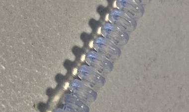 EL ANMAT APROBÓ EL USO DEL PRIMER HISOPO NASOFARÍNGEO DE PRODUCCIÓN 100%. NACIONAL