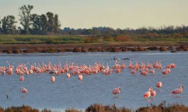 LA RESERVA NATURAL MÁS GRANDE DE ARGENTINA UBICADA EN CÓRDOBA SE CONVIRTIÓ EN PARQUE NACIONAL