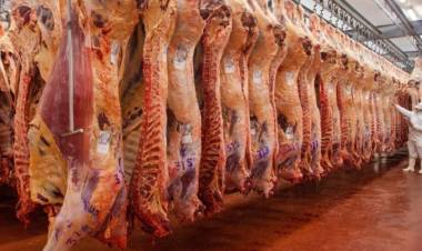 EL GOBIERNO NACIONAL FORMALIZÓ MEDIANTE EL BOLETÍN OFICIAL LA SUSPENSIÓN DE LAS EXPORTACIONES DE CARNE