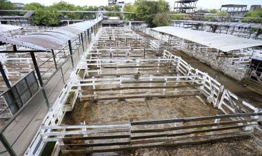 CONTINÚA EL CONFLICTO POR LA CARNE, LA MESA DE ENLACE EXTENDIÓ EL CESE DE VENTA DE HACIENDA HASTA EL MIÉRCOLES