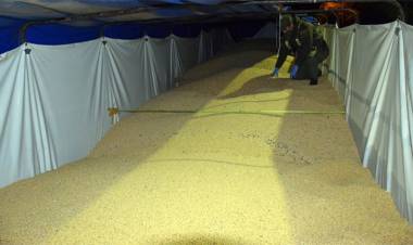 EN CONTROLES DE GENDARMERÍA SE INCAUTAN SOJA VALUADA EN CASI $23 MILLONES CUANDO ERA TRANSPORTADA EN CAMIONES