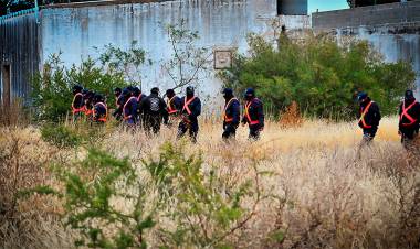 BÚSQUEDA DE GUADALUPE EN SAN LUIS: UNA PERRA MARCÓ UNA CASA Y UNA POSIBLE MANCHA DE SANGRE