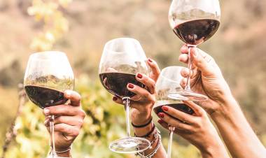 "MUJERES DE LA VIÑA", VITICULTORAS MENDOCINAS QUE SE UNEN PARA ELABORAR UN VINO DE CALIDAD Y CON MARCA PROPIA