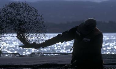 POR LEY, TIERRA DEL FUEGO PROHIBIRÁ LA CRÍA DE SALMONES EN UNA MEDIDA “INÉDITA EN EL MUNDO”