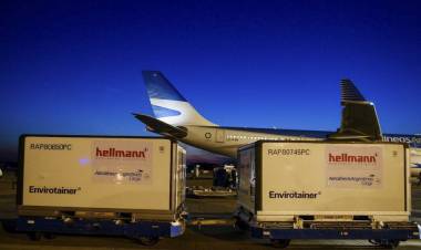 LLEGARON CASI 800 MIL DOSIS DE VACUNAS SINOPHARM ESTE DOMINGO Y SE ESPERAN 8 MILLONES EN UN MES