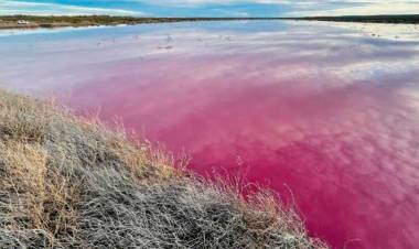 EN CHUBUT UNA LAGUNA SE “TIÑÓ” DE ROSA, DENUNCIAN CONTAMINACIÓN Y HAY MUNICIPIOS ENFRENTADOS