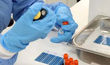 AUSTRIA: SE INFORMÓ EL PRIMER CONTAGIO DE CORONAVIRUS CORRESPONDIENTE A LA "CEPA ANDINA"