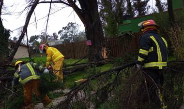 PARTIDO DE MAR CHIQUITA: EL PERSONAL MUNICIPAL ESTÁ TRABAJANDO EN LAS ZONAS AFECTADAS POR EL TEMPORAL