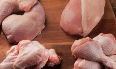 UN ESTUDIO DA A CONOCER EL SECRETO DE LA CARNE DE POLLO PARA AYUDAR A MANTENER LA SALUD CARDIOVASCULAR
