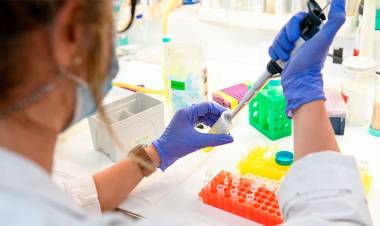 LUCHA CONTRA EL CORONAVIRUS: EN ENERO COMENZARÁN LOS ENSAYOS DE LA FASE 1 DE LA VACUNA ARGENTINA ARVAC