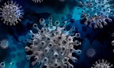 HALLARON UNA NUEVA VARIANTE DE COVID EN EL SUR DE FRANCIA