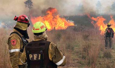 INCENDIOS EN CORRIENTES, DAÑO AMBIENTAL IRREPARABLE, INVESTIGAN EN 70 CAUSAS SI EL FUEGO FUE INTENCIONAL