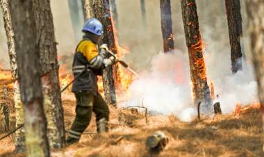 CORRIENTES: EL GOBERNADOR VALDÉS INFORMÓ QUE LOS INCENDIOS SE REDUJERON EN UN 30%