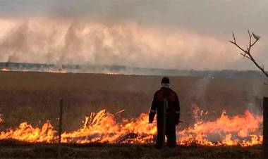 SEGÚN REPORTE DEL INTA EN CORRIENTES SE QUEMARON UN MILLÓN DE HECTÁREAS EN DOS MESES