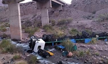 MURIÓ UN CAMIONERO QUE VOLVÍA DE CHILE AL DESBARRANCAR SU VEHÍCULO EN UNA ZONA DE ALTA MONTAÑA EN MENDOZA