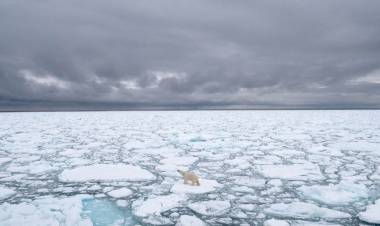 CALENTAMIENTO GLOBAL: EL ÁRTICO PERDIÓ 770.000 KILÓMETROS CUADRADOS DE HIELO, SEGÚN LA NASA