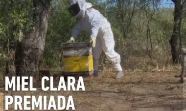 LA RIOJA: MIEL CLARA PREMIADA