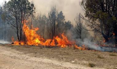 CRISIS CLIMÁTICA: JUJUY DECLARÓ LA EMERGENCIA ÍGNEA Y TRIPLICÓ LAS MULTAS POR CAUSAR INCENDIOS
