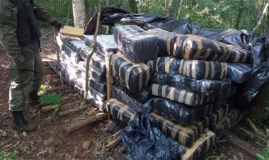 HALLARON EN MISIONES MÁS DE TRES TONELADAS DE MARIHUANA ACOPIADAS EN ZONAS MONTUOSAS