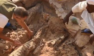LAS MOMIAS DE DIEZ COCODRILOS QUE LLEVAN MÁS DE 2.300 AÑOS ENTERRADOS FUERON DESCUBIERTAS