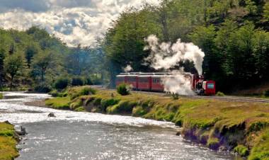 EL TREN DEL FIN DEL MUNDO Y UN VIAJE MÁGICO HACIA LOS BOSQUES DEL SUR