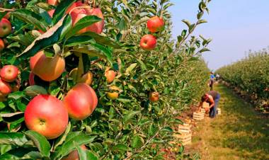 ECONOMÍAS REGIONALES: LAS MEDIDAS QUE BUSCA EL SECTOR