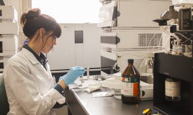 ANÁLISIS Y DIAGNÓSTICOS: INOCUIDAD ASEGURADA